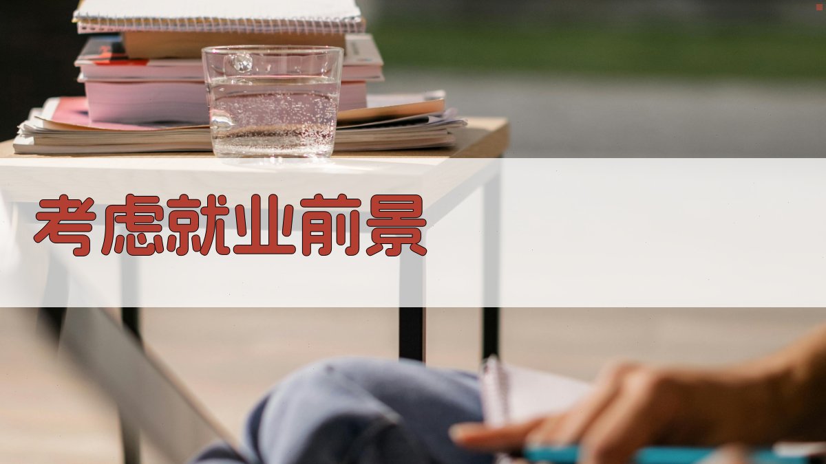 考虑就业前景 图4