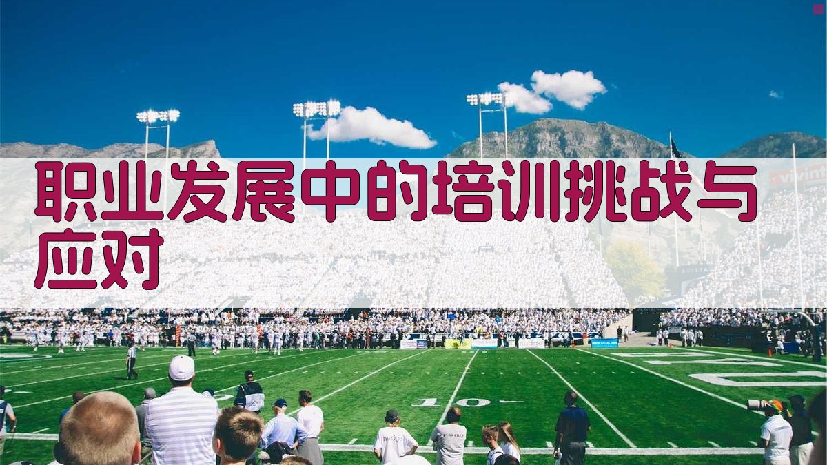 职业发展中的培训挑战与应对 图4