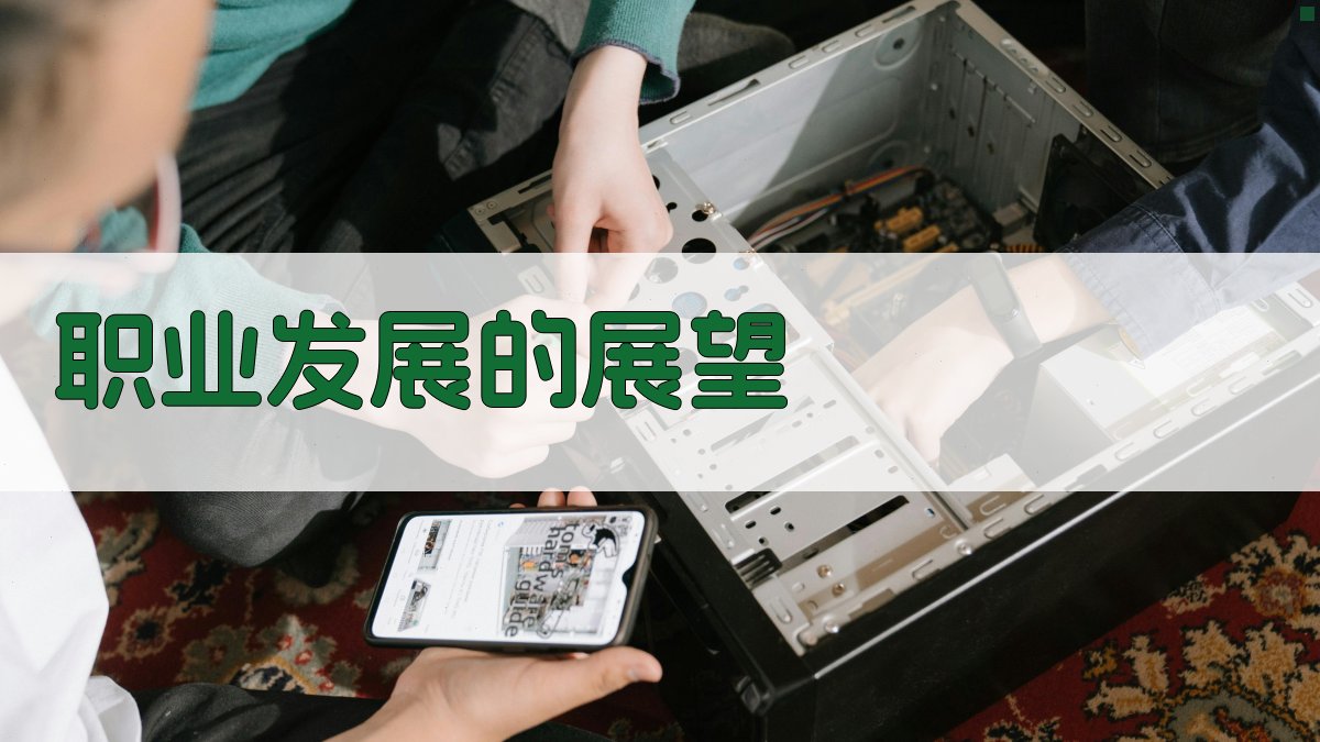 职业发展的展望 图2