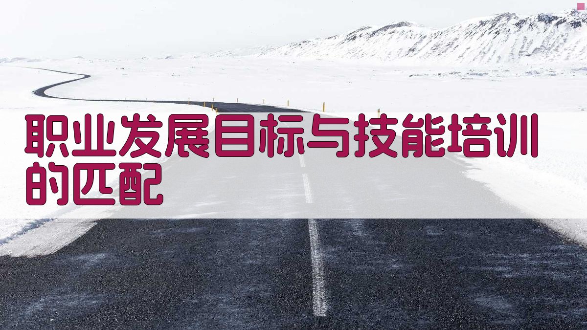 职业发展目标与技能培训的匹配 图2