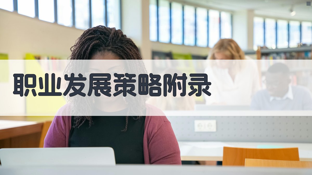 职业发展策略 · 附录 图3