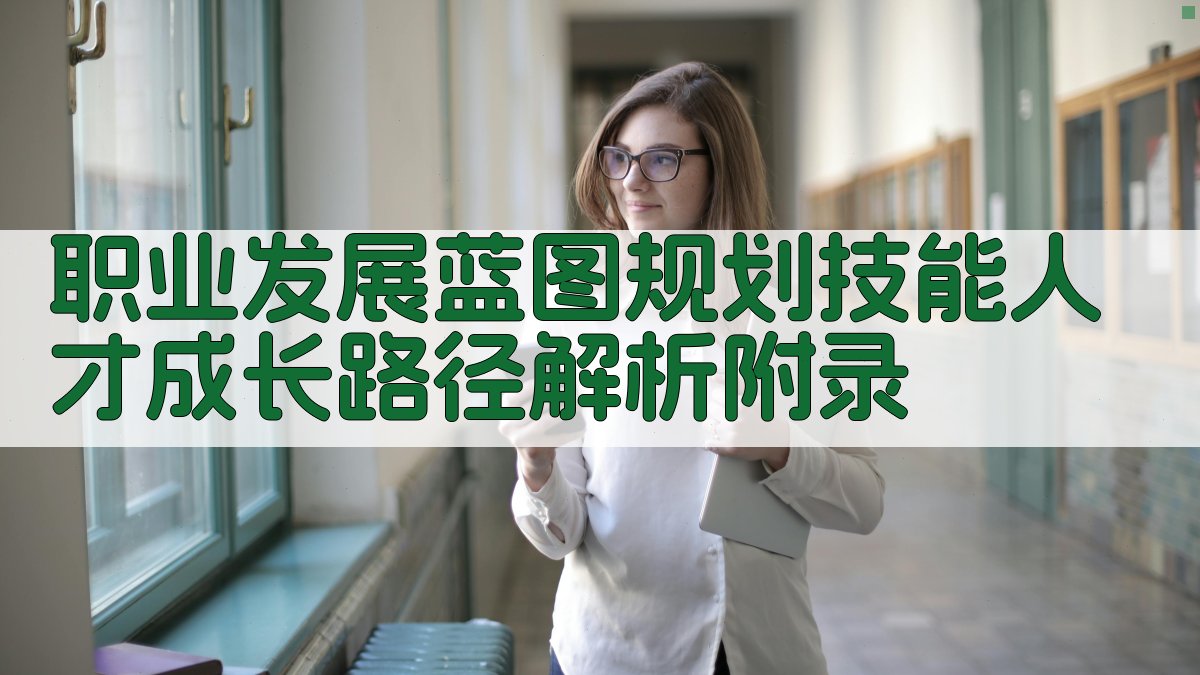 职业发展蓝图规划技能人才成长路径解析 · 附录 图1