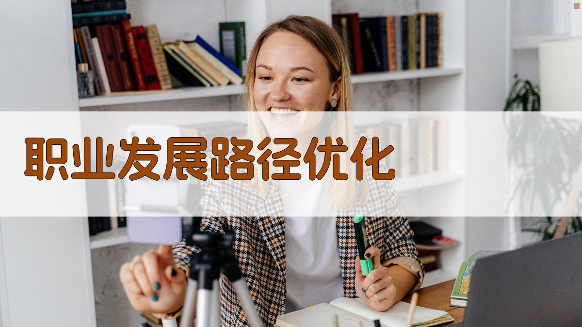 职业发展路径优化 图3