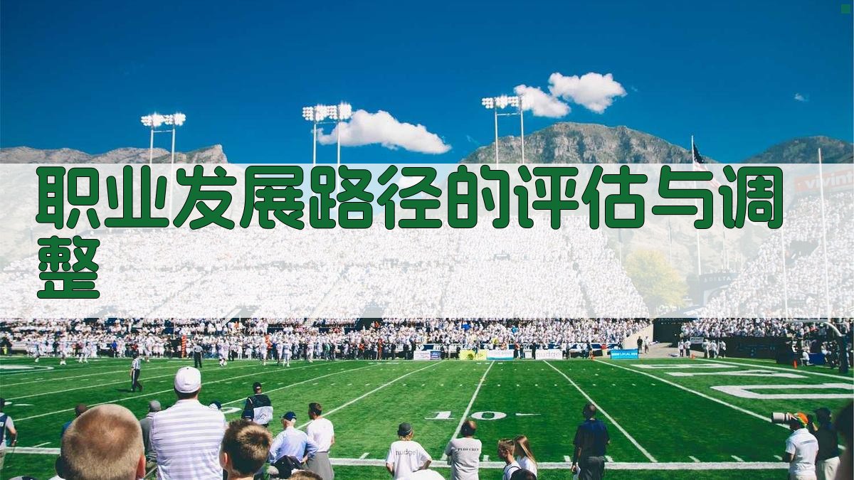 职业发展路径的评估与调整 图5