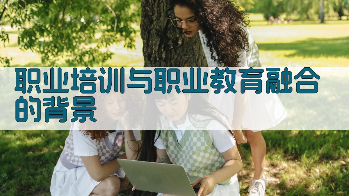 职业培训与职业教育融合的背景 图1