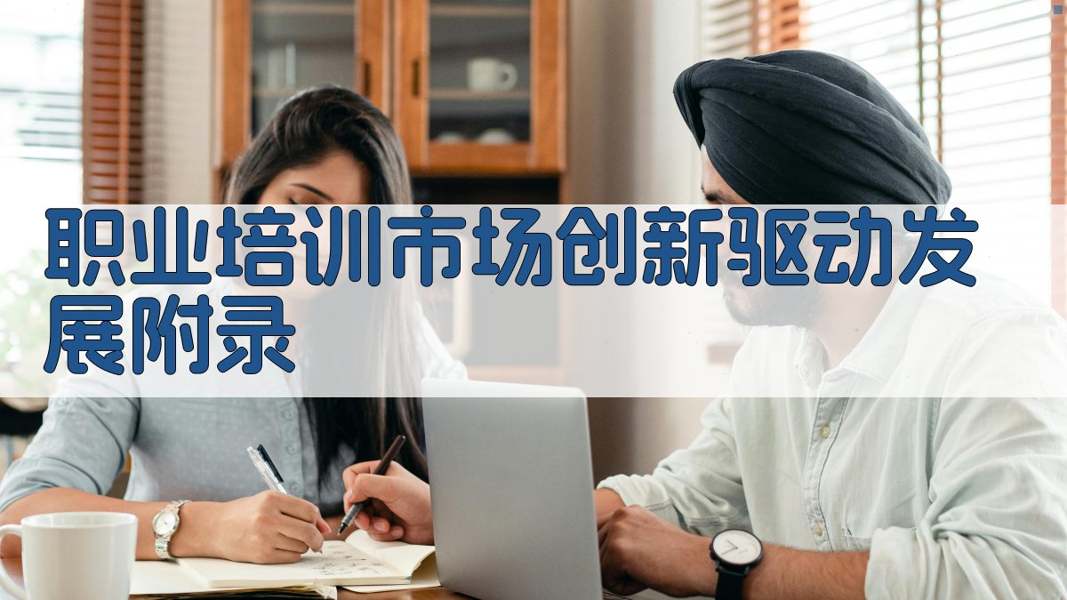 职业培训市场创新驱动发展 · 附录 图2