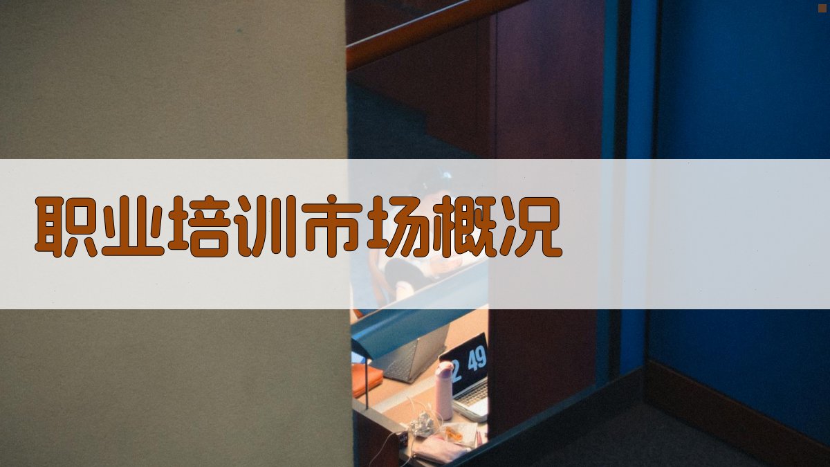 职业培训市场概况 图1