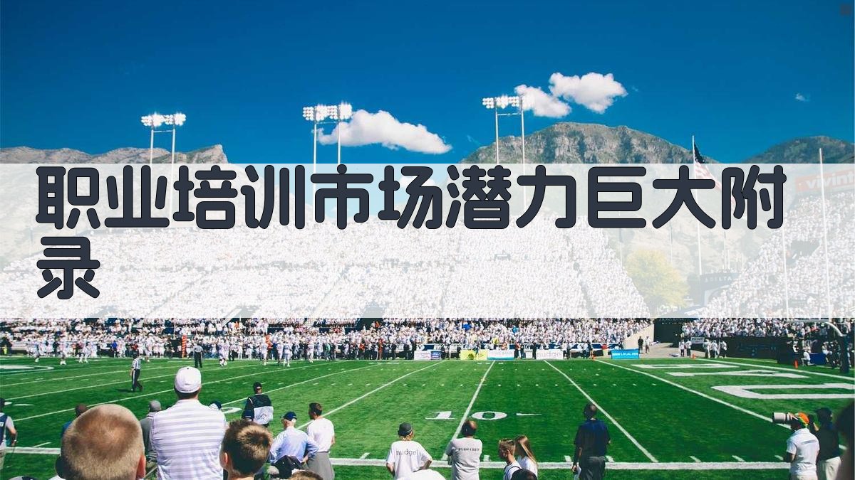 职业培训市场潜力巨大 · 附录 图4