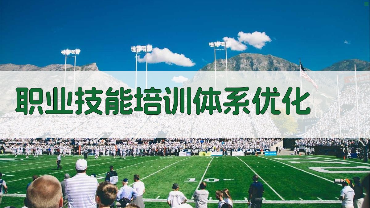 职业技能培训体系优化 图2