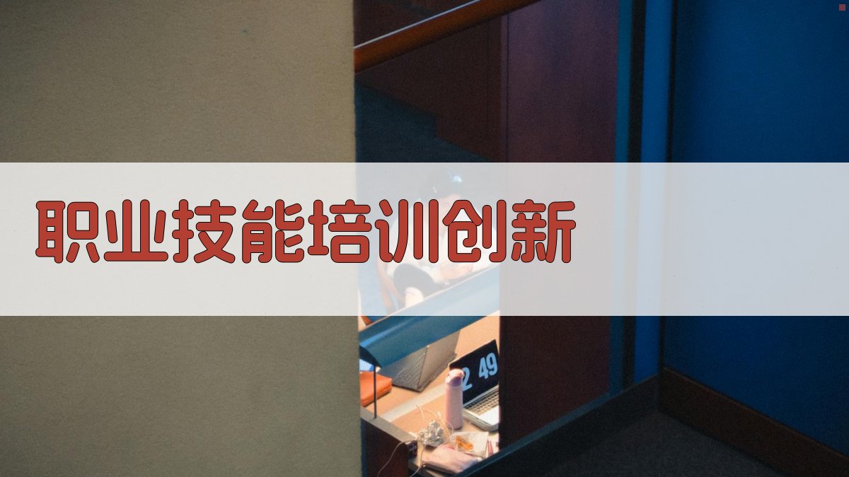 职业技能培训创新 图2
