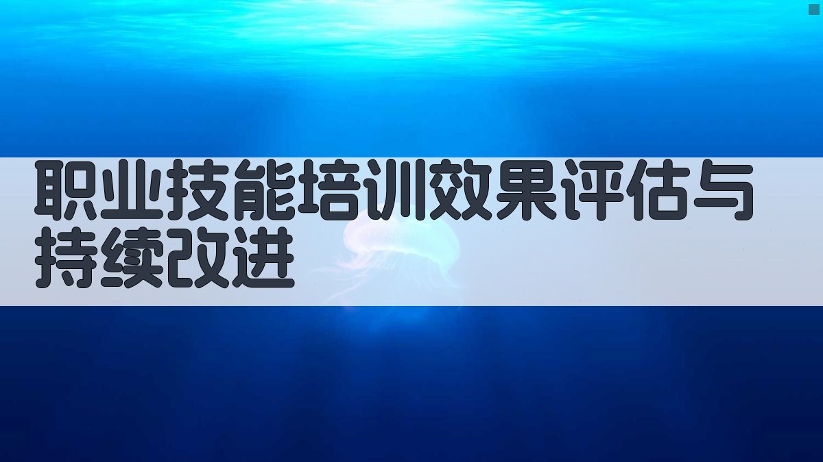 职业技能培训效果评估与持续改进 图2