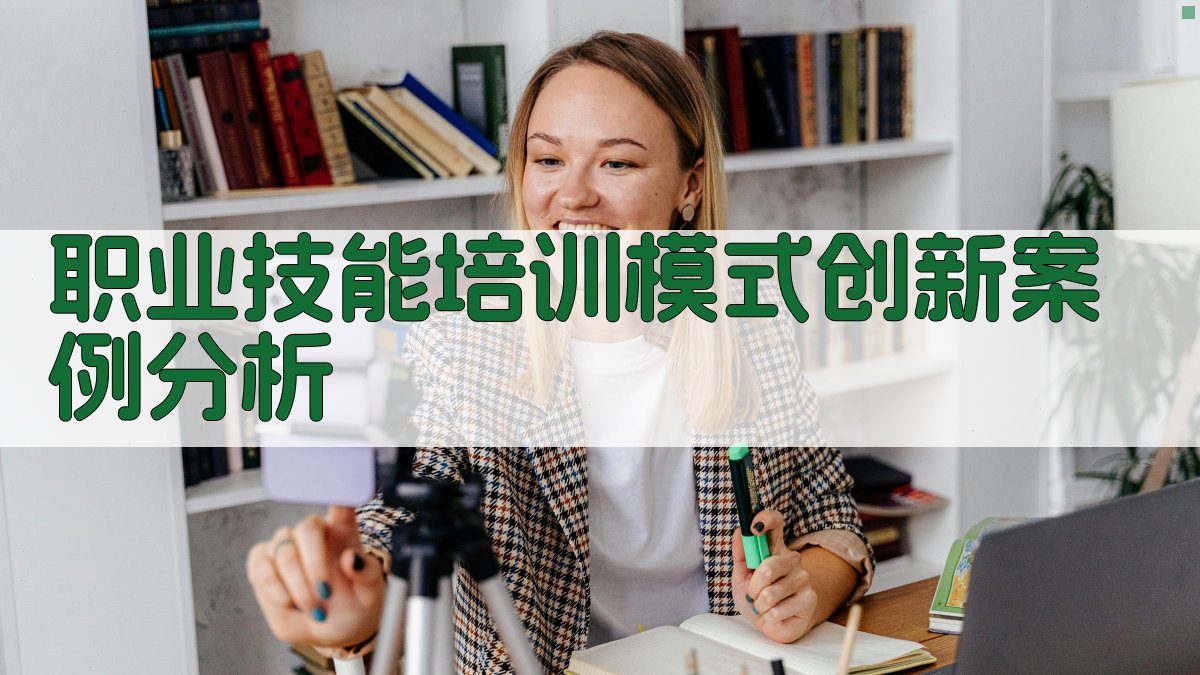 职业技能培训模式创新案例分析 图1