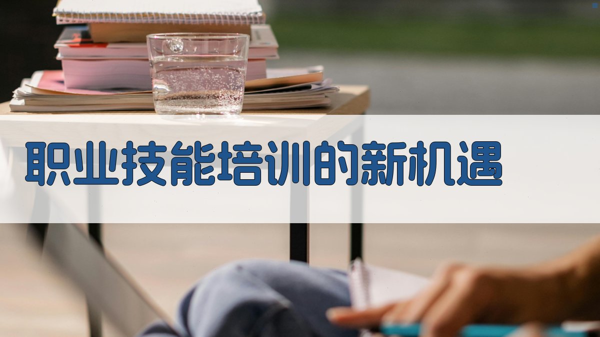 职业技能培训的新机遇 图3