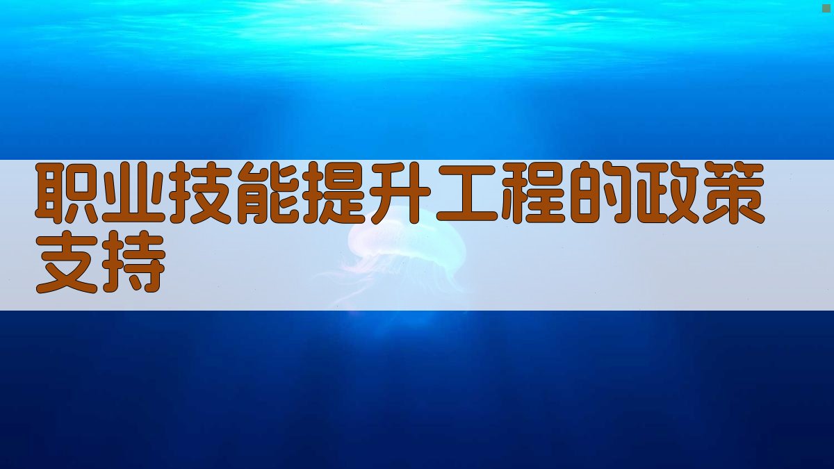 职业技能提升工程的政策支持 图2