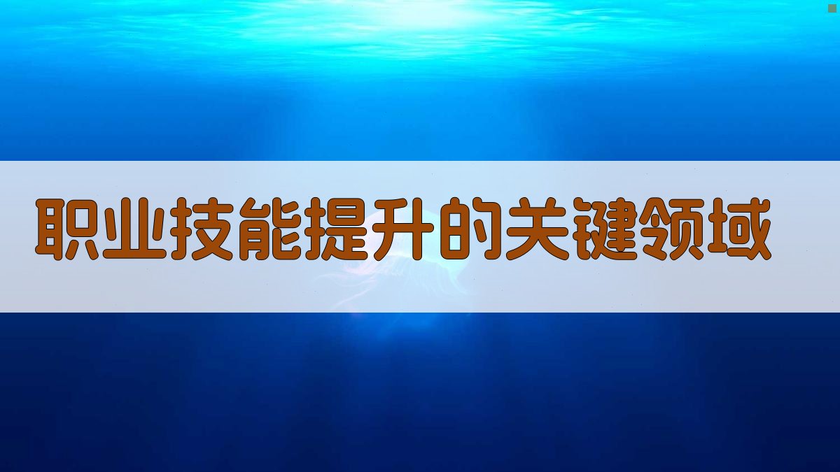 职业技能提升的关键领域 图1