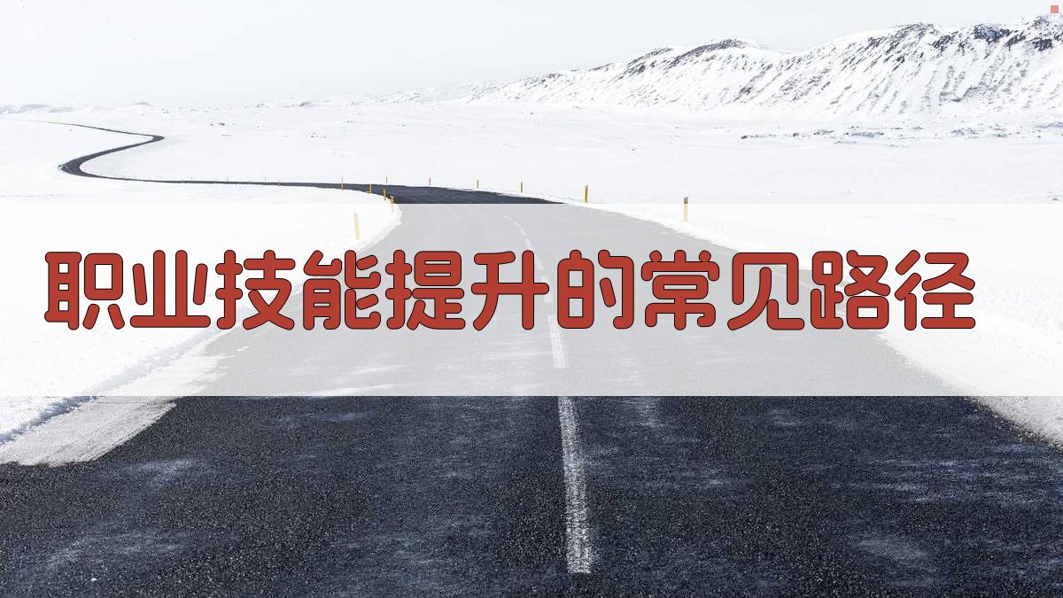 职业技能提升的常见路径 图2
