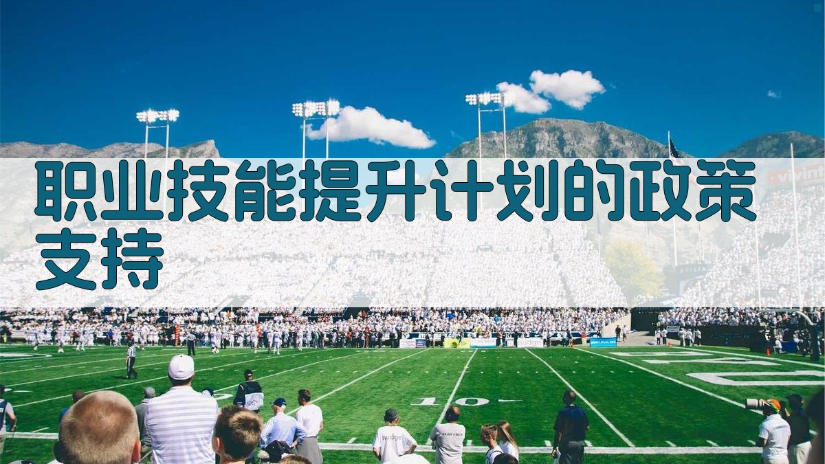 职业技能提升计划的政策支持 图3