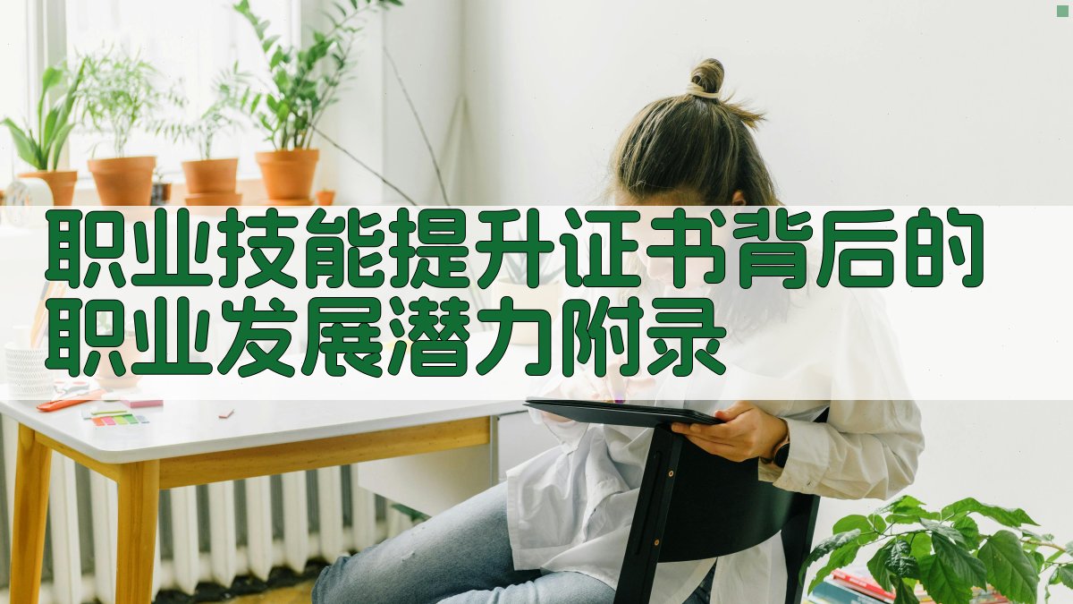 职业技能提升证书背后的职业发展潜力 · 附录 图4