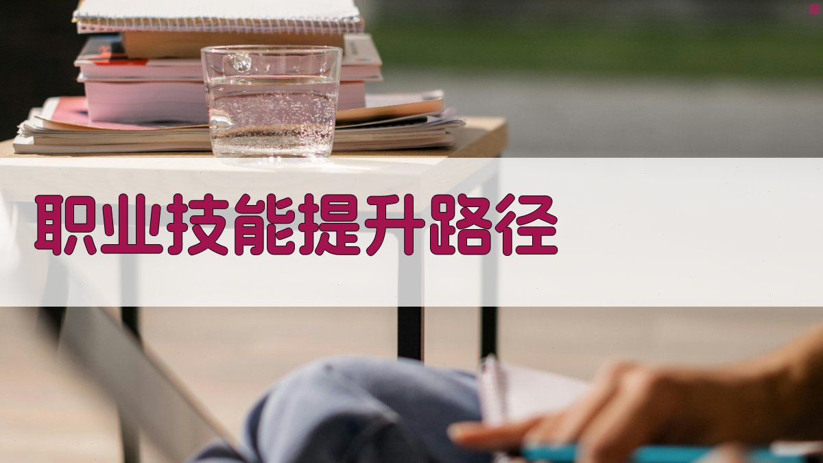 职业技能提升路径 图2