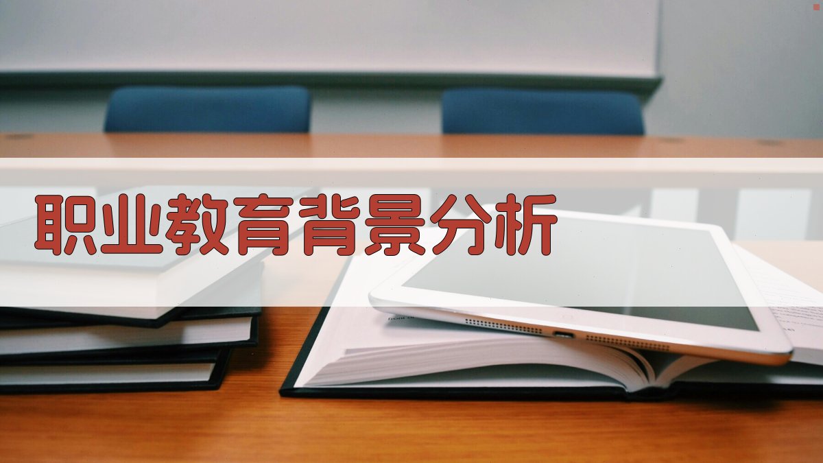 职业教育背景分析 图1