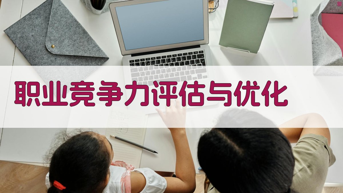 职业竞争力评估与优化 图1