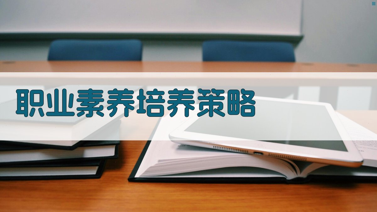 职业素养培养策略 图3