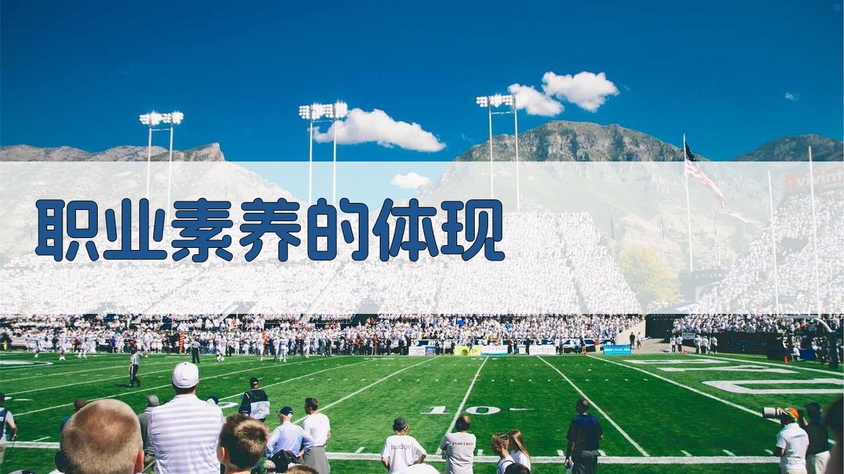 职业素养的体现 图4