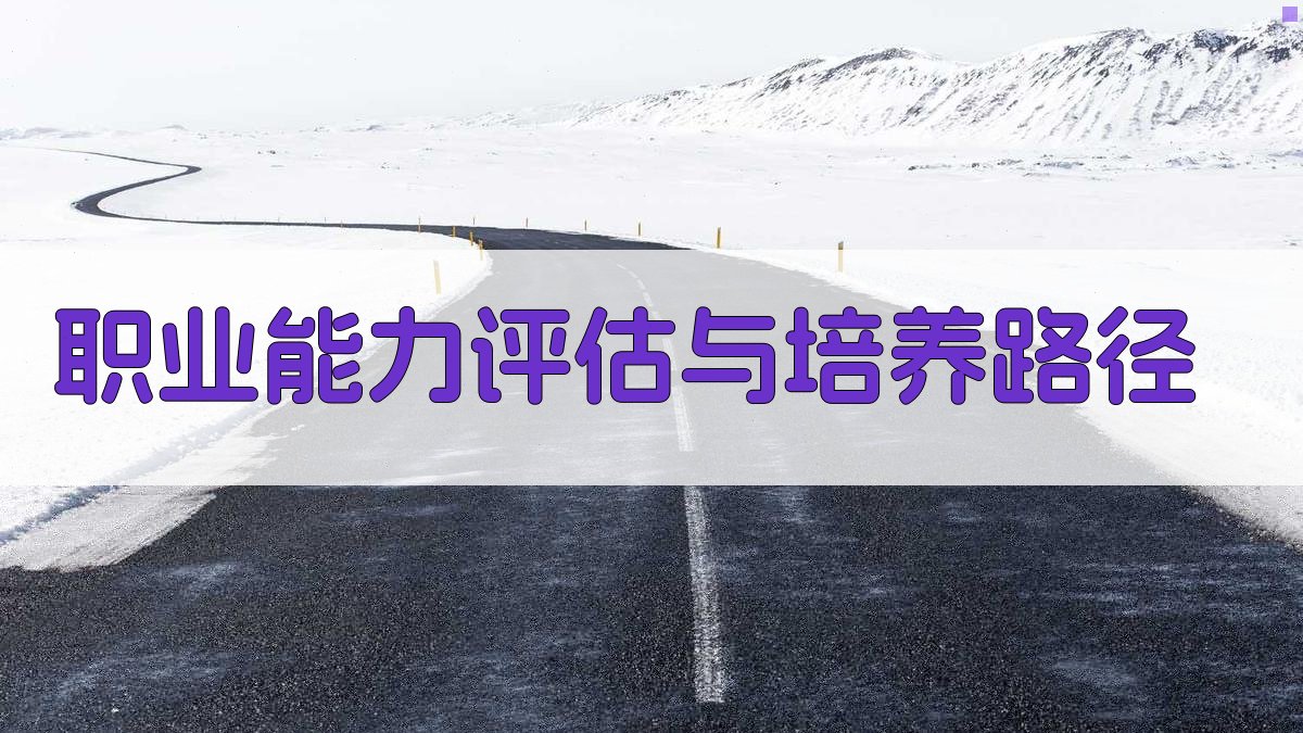 职业能力评估与培养路径 图3