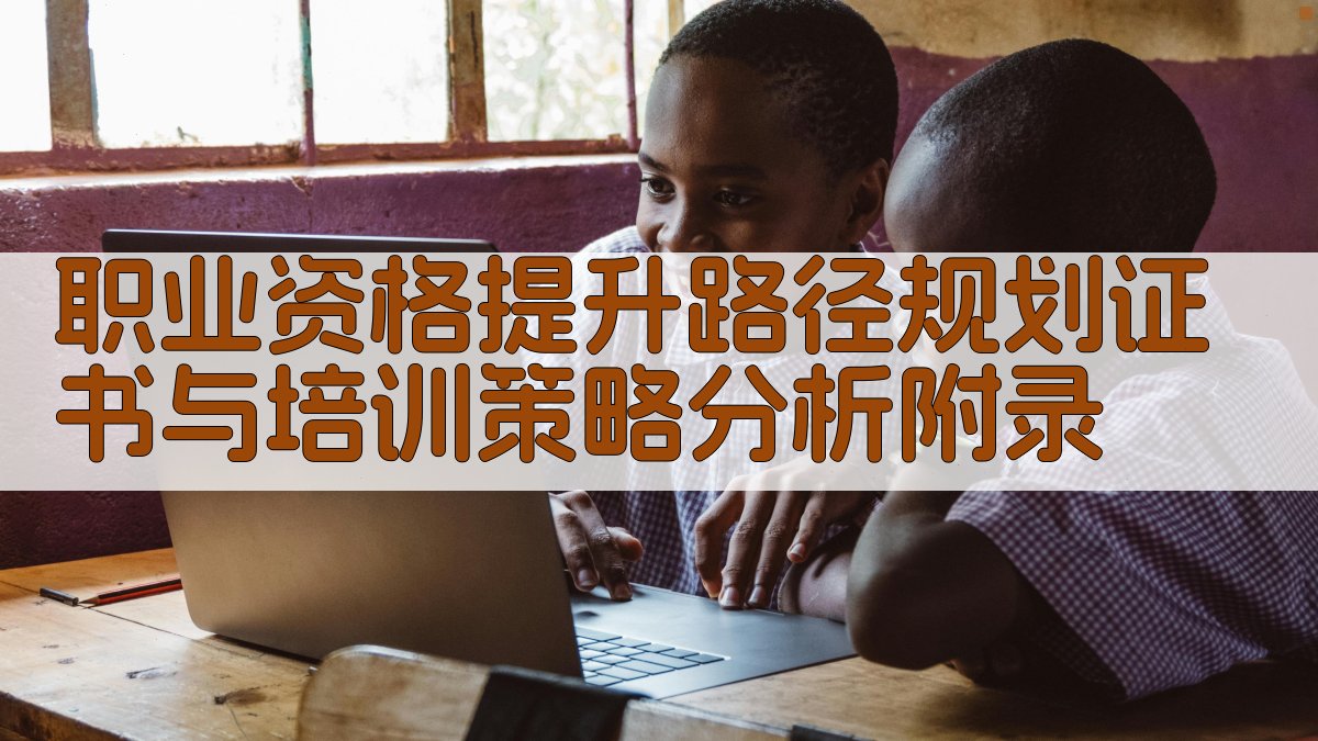 职业资格提升路径规划证书与培训策略分析 · 附录 图2