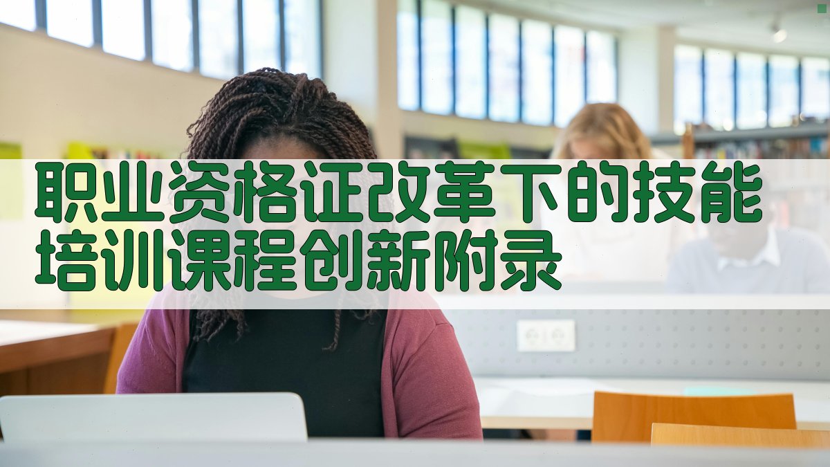 职业资格证改革下的技能培训课程创新 · 附录 图4
