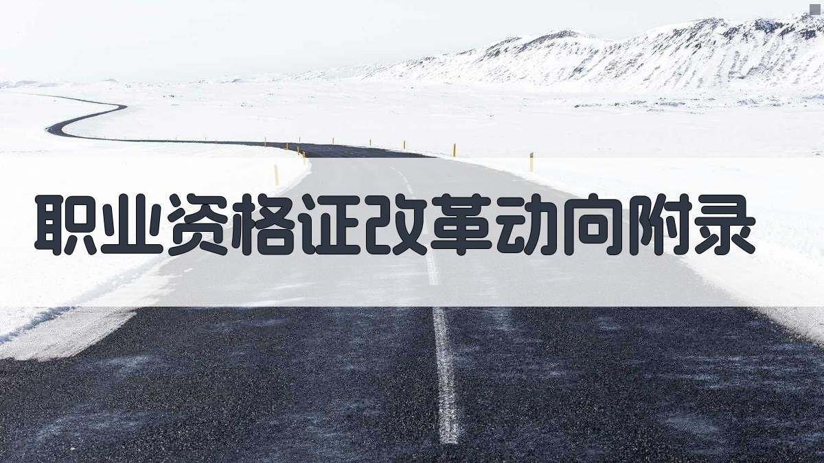 职业资格证改革动向 · 附录 图4