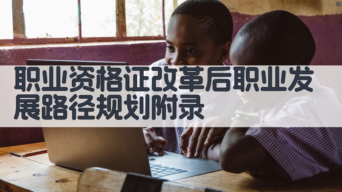 职业资格证改革后职业发展路径规划 · 附录 图4