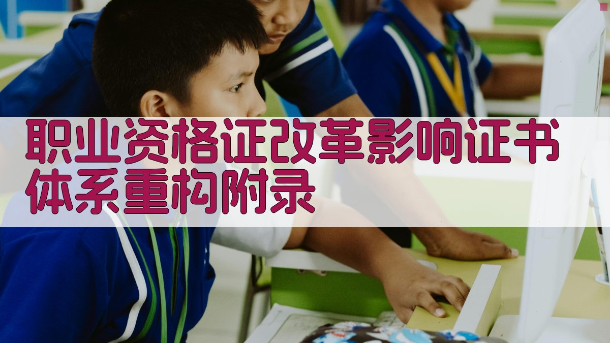 职业资格证改革影响证书体系重构 · 附录 图4