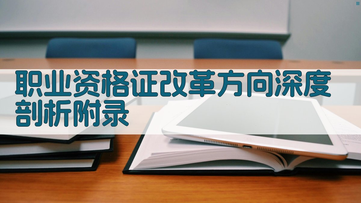 职业资格证改革方向深度剖析 · 附录 图2