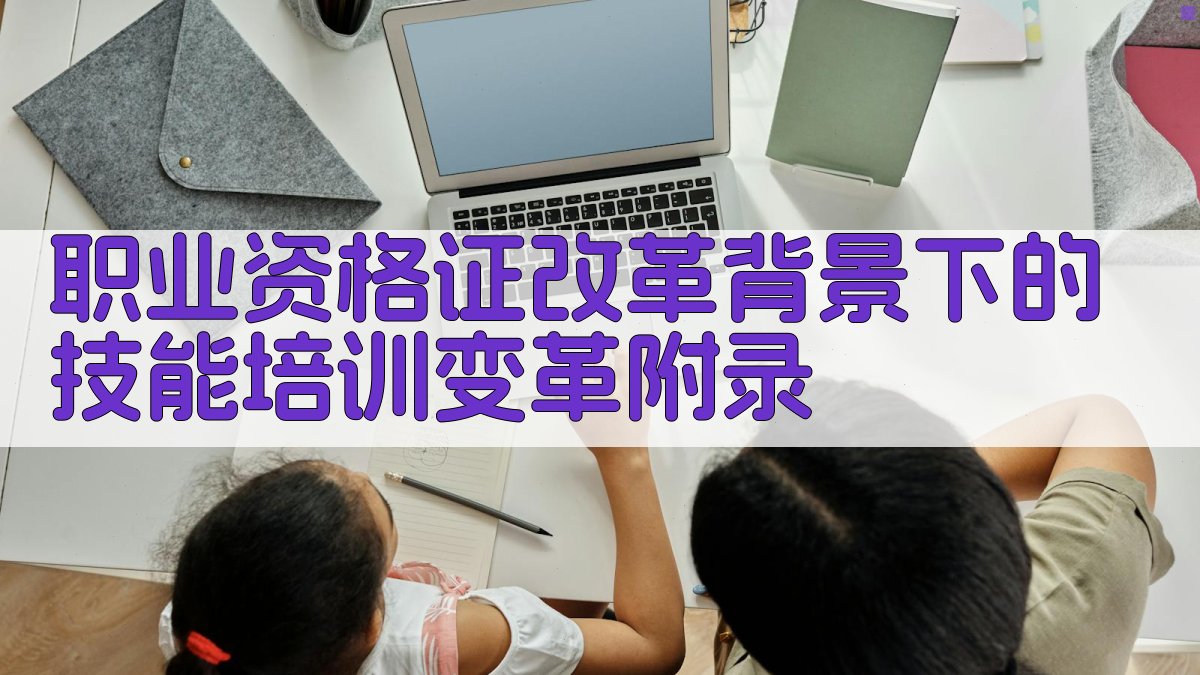 职业资格证改革背景下的技能培训变革 · 附录 图1