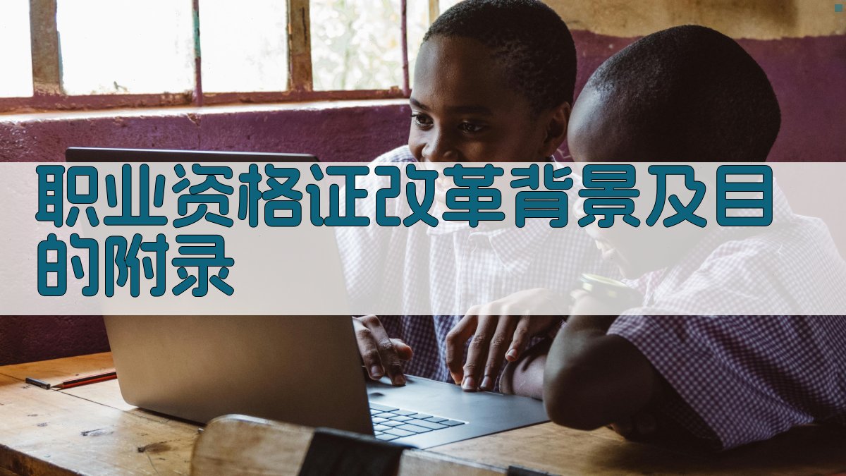 职业资格证改革背景及目的 · 附录 图3