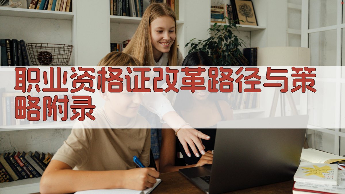 职业资格证改革路径与策略 · 附录 图5