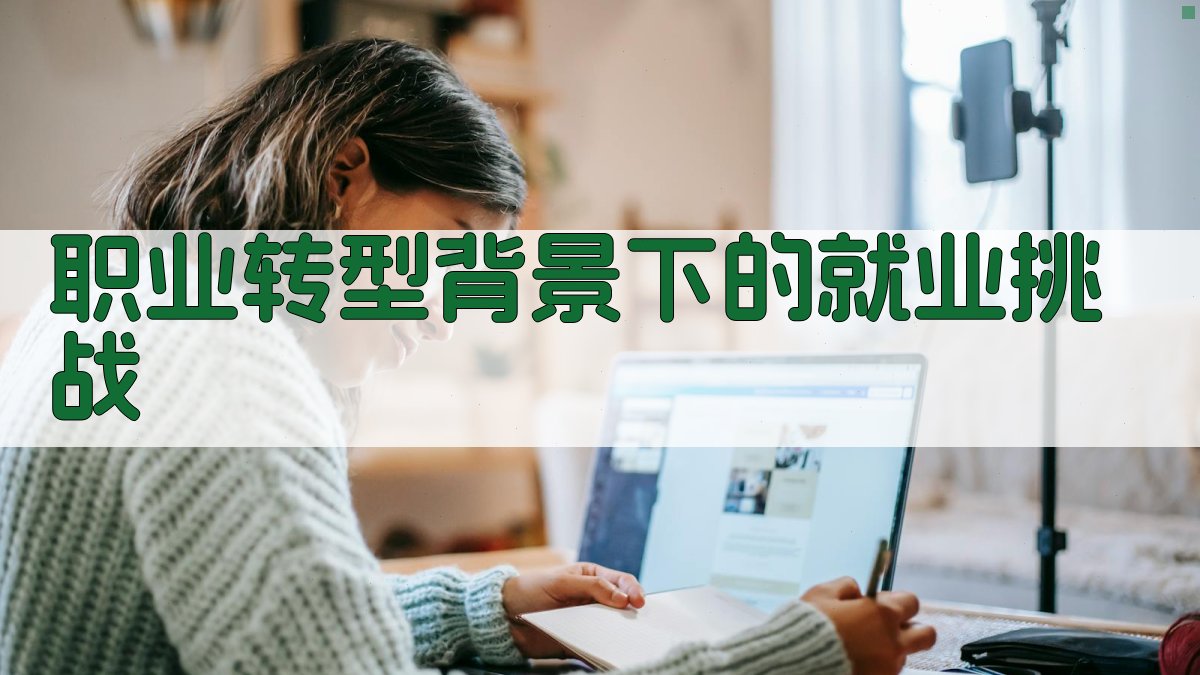 职业转型背景下的就业挑战 图1