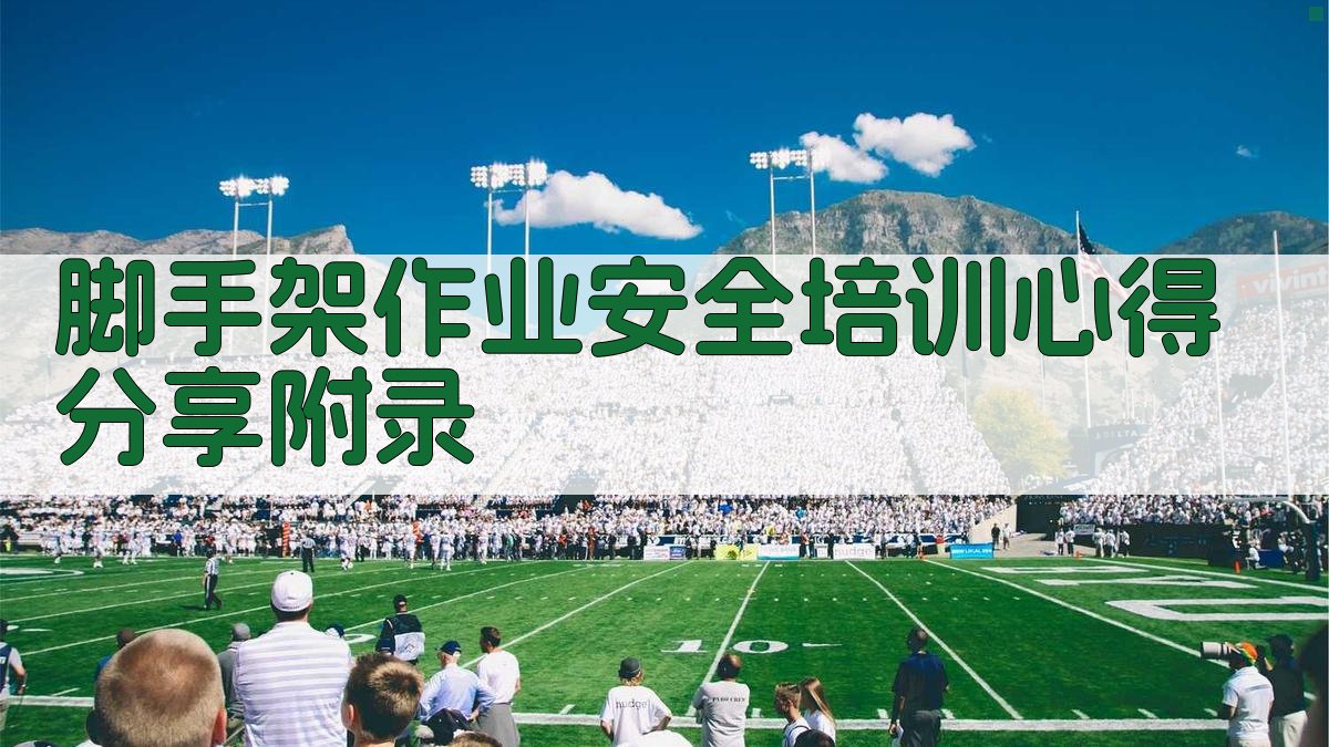 脚手架作业安全培训心得分享 · 附录 图4