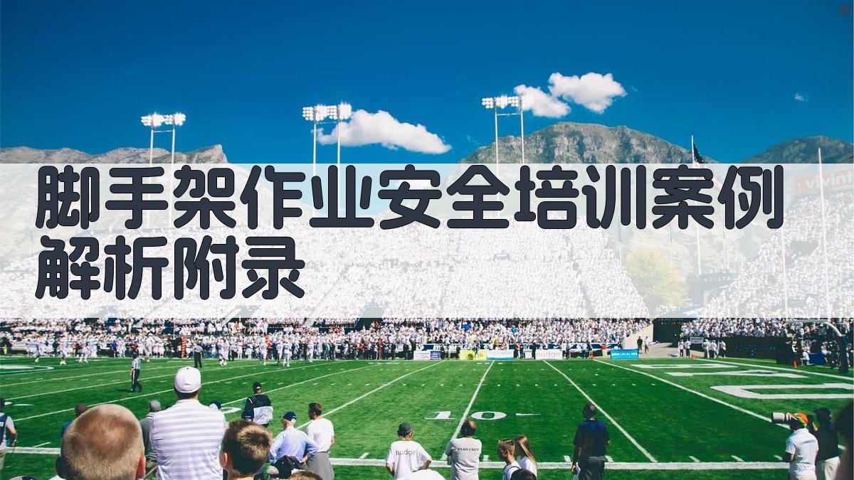 脚手架作业安全培训案例解析 · 附录 图5