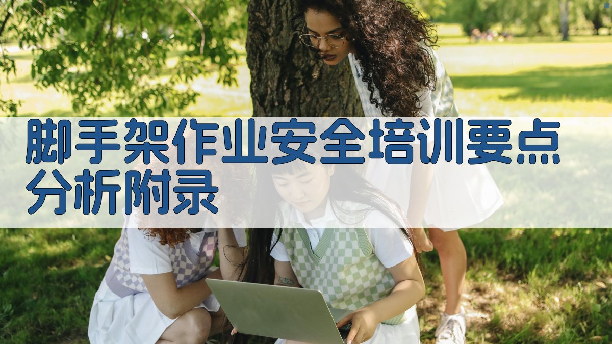 脚手架作业安全培训要点分析 · 附录 图3