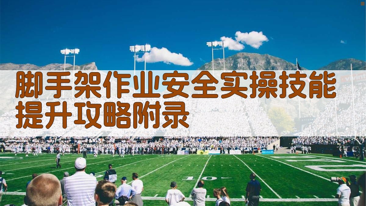脚手架作业安全实操技能提升攻略 · 附录 图4