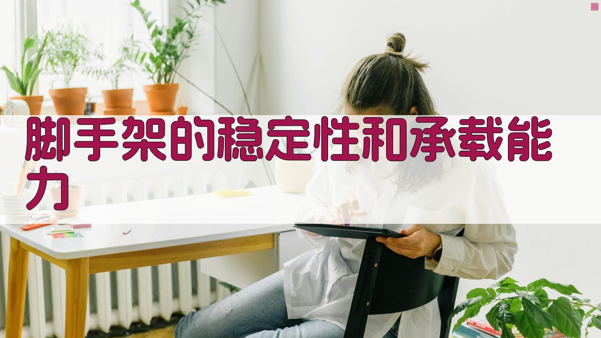 脚手架的稳定性和承载能力 图3