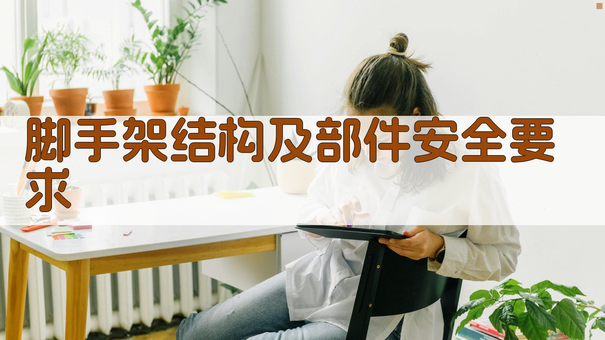 脚手架结构及部件安全要求 图3