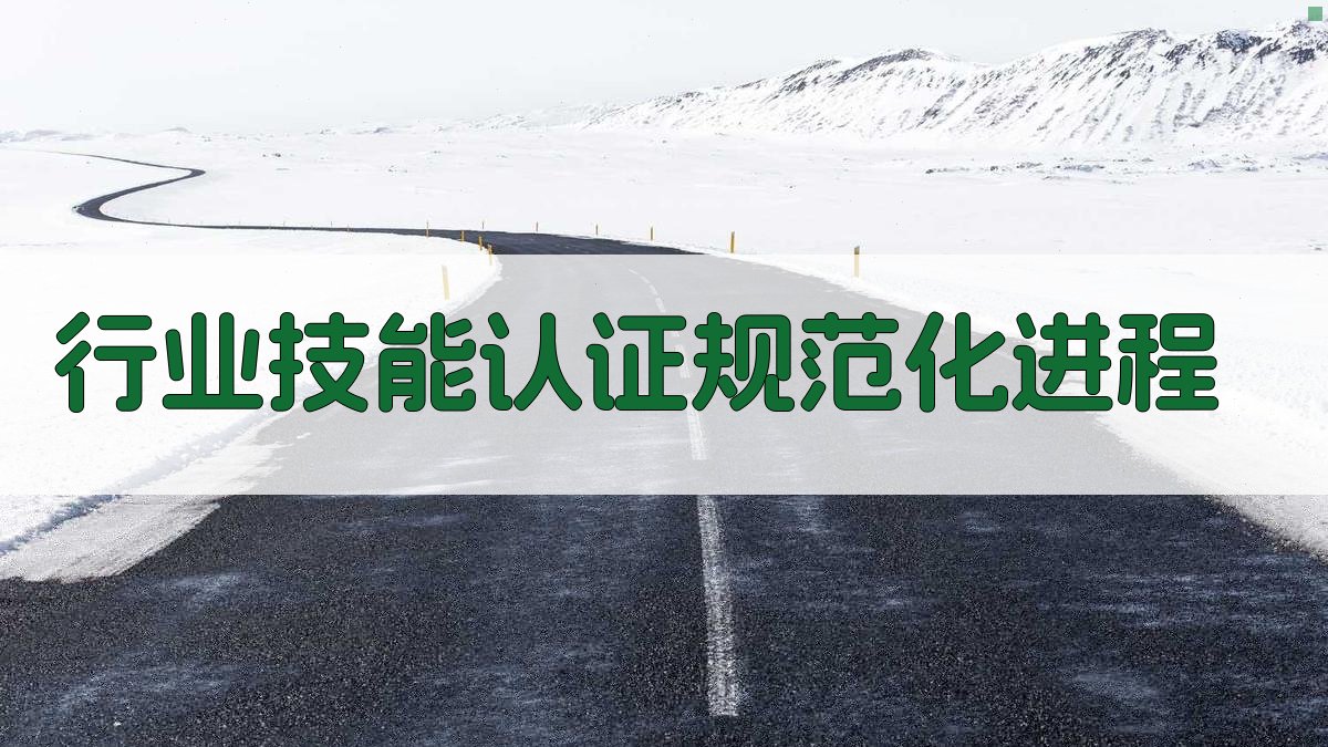 行业技能认证规范化进程 图3