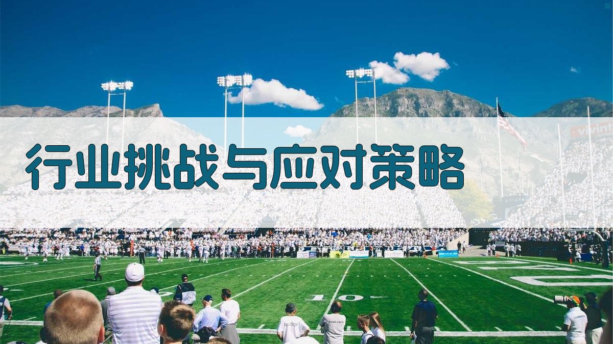 行业挑战与应对策略 图2