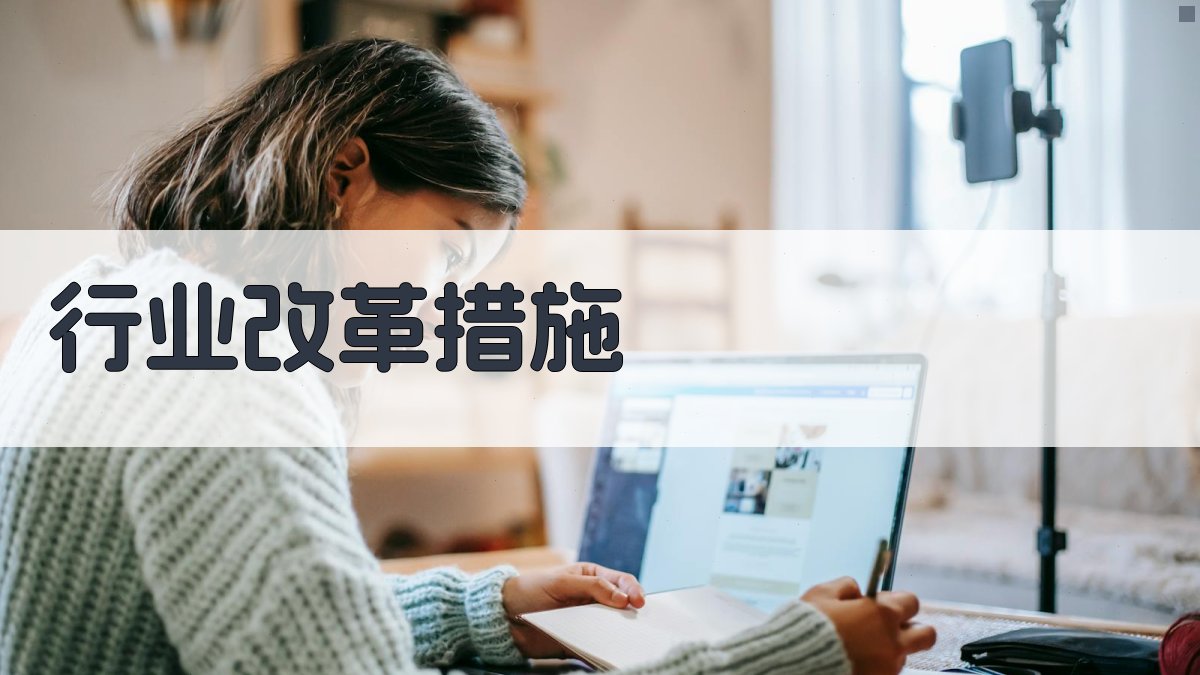 行业改革措施 图3