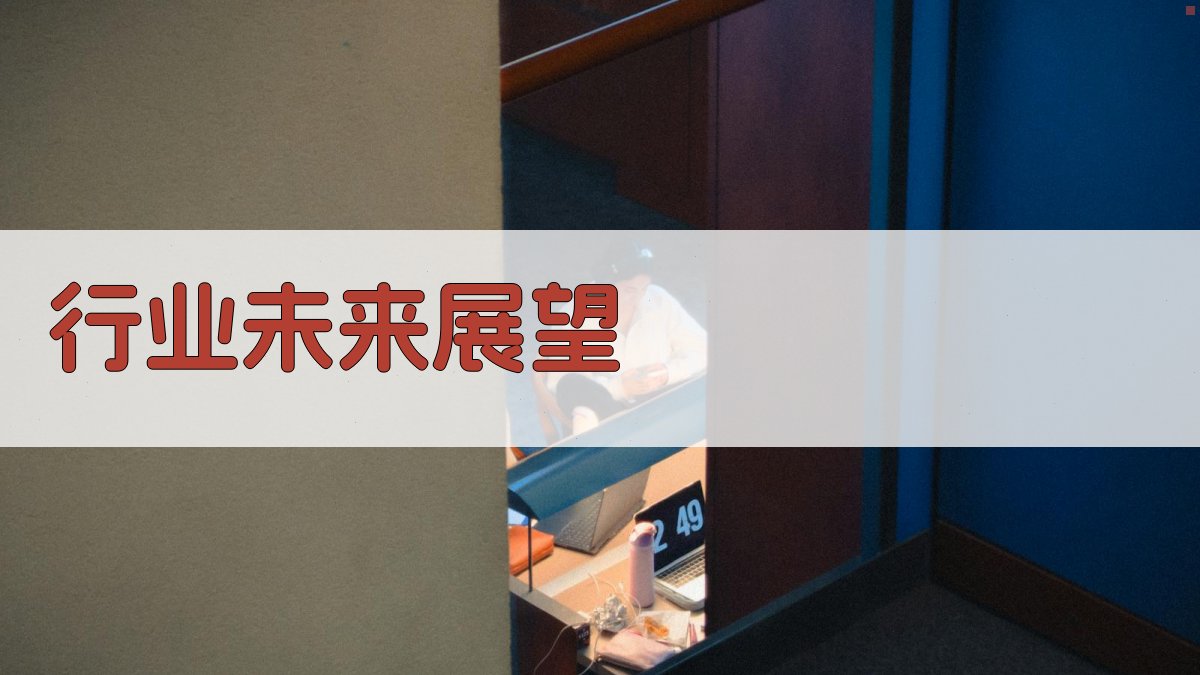 行业未来展望 图1