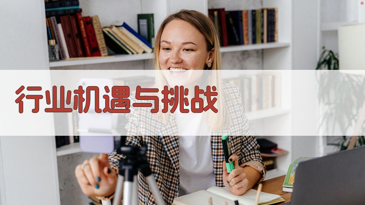 行业机遇与挑战 图2