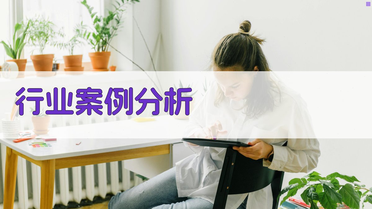 行业案例分析 图3